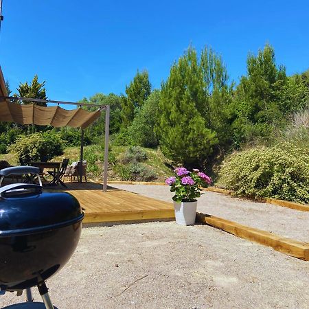 Thezan-les-Beziers Les Hauts De La Pinede - Villa Avec Piscine, Jacuzzi Et Boulodrome Privatifs מראה חיצוני תמונה